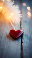 red heart illuminated by string lights photo
