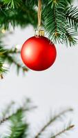 shiny red ornament hangs from a pine branch photo