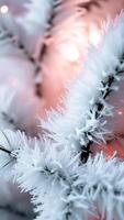 delicate frost enhances a branch with a sparkling glow photo