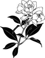 A black and white drawing of a flower vector