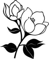 Magnolia flowers coloring pages vector