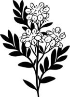 Black and white flowers on a branch vector