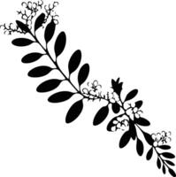 A branch with leaves and flowers on a white background vector