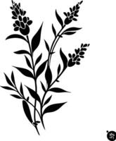 A black and white drawing of a plant with leaves vector