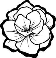 A flower is drawn in black and white vector