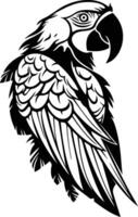 A parrot with a black and white design vector