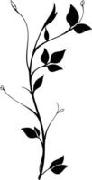 A black and white drawing of a branch with leaves vector