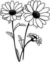 Black and white daisy flowers coloring pages vector