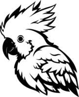 A black and white drawing of a parrot vector
