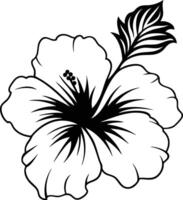 Free hibiscus flower coloring pages vector