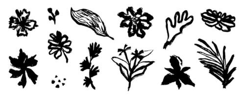 Hand drawn flower and leaf. Doodle Ink floral and plant abstract illustration. Sketch nature simple daisy, flower, leaves, graphic elements vector