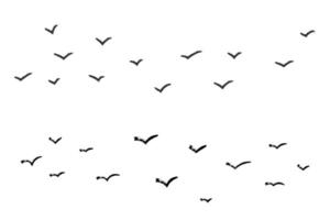 Dynamic group of grunge birds flying. Ink grunge flock of birds drawn with markers and crayons set vector