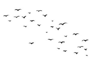 Grunge ink flying birds in the sky. Ink grunge flock of birds drawn with markers and crayons set vector