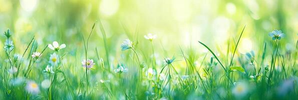 A dreamy close-up of a spring meadow filled with delicate wildflowers and soft green grass, bathed in warm sunlight photo