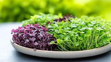 A vibrant assortment of fresh microgreens, including kale and mustard, arranged on a neutral plate photo