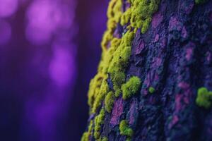 Close-up of a vibrant moss-covered tree trunk highlighting earthy tones in a Pine Grove photo