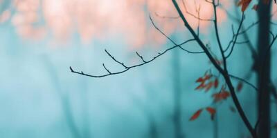 Misty morning in a dense forest with bare trees and warm autumn leaves under a foggy atmosphere photo