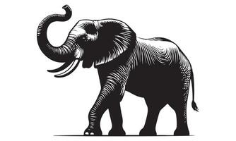 An elephant is standing in a black and white drawing vector