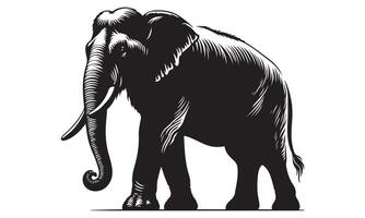 An elephant is standing in front of a white background vector
