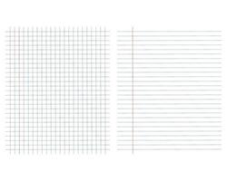 Notebook sheet lined page background vector