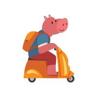 Pig with Backpack Riding Scooter, Funny Animal Character Using Vehicle Illustration vector