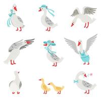 Collection of Geese and Goslings in Different Situations, White Birds Cartoon Characters Illustration vector