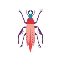Beetle Insect, Cute Colorful Bug Top View Illustration vector