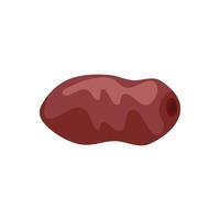 Single date fruit showing seed vector illustration