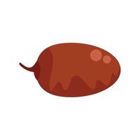 Single date fruit illustration on white background vector