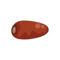 Single date fruit lying horizontally showing its texture vector