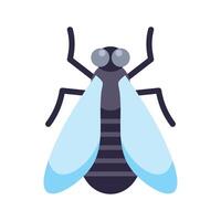 House fly spreading its wings on white background vector