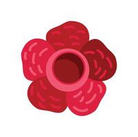 Rafflesia flower blooming showing its unique features vector