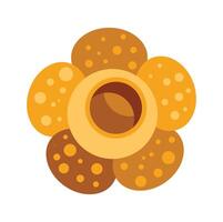 Rafflesia flower blooming showing colorful petals vector