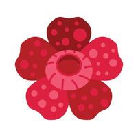 Rafflesia flower blooming showing its unique features vector