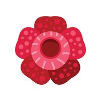 Rafflesia arnoldii flower blooming showing its hole vector