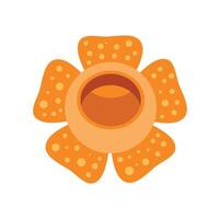Rafflesia arnoldii flower blooming showing its hole vector