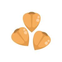 Three apricot kernels falling through the air vector