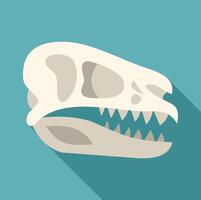 Dinosaur skull exhibiting sharp teeth and prehistoric features vector