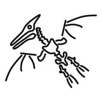 Pterodactyl fossil flying reptile skeleton drawing vector
