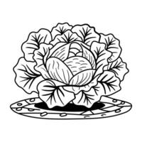 Cabbage coloring page vector