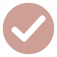 right and correct icon concept vector