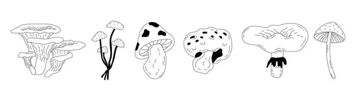 Cute Playful Autumn Mushroom Outline Doodle Illustration. Whimsical Fall Hand Drawn Art. Poisonous and Edible Mushrooms. Stock Illustration vector