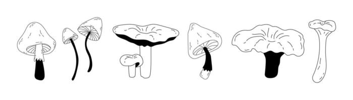 set of different poisonous and edible mushrooms in doodle style. Seasonal hand drawn mushrooms in line art style for design. Isolated stock graphics vector