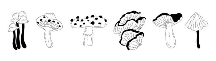 Set of different seasonal autumn mushrooms drawn in doodle style. Line art illustration of poisonous and edible mushrooms. Cute set for stickers, greeting cards templates. vector