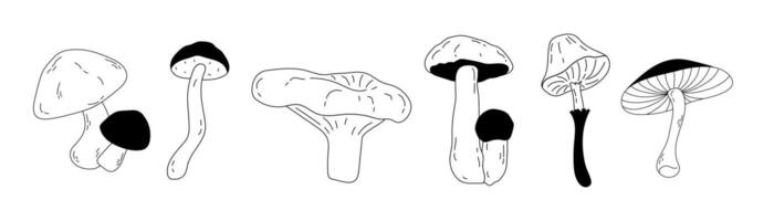 Set of icons with different mushrooms in doodle style. Poisonous and edible mushrooms drawn by hand for design. Stickers of mushrooms on isolated white background vector