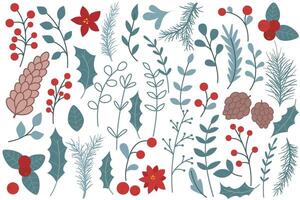 Winter set of botanical elements for design vector