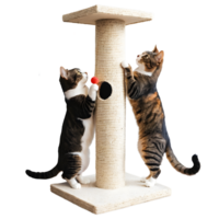 Two cats playing with a scratching post png