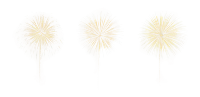 Happy New Year festive celebration party fireworks explosion , cutout isolated on transparent background. Gold yellow color png