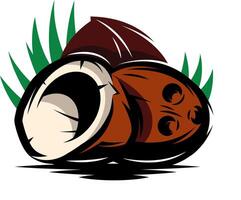 picture in retro style with three broken coconuts vector