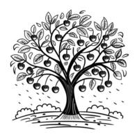 An apple tree with apples on it in a black and white drawing vector